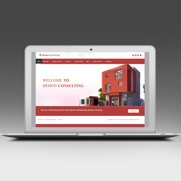 Hemon Consulting Website