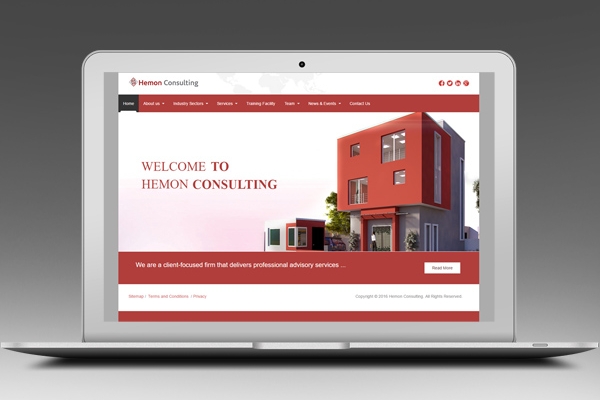 Hemon Consulting Website